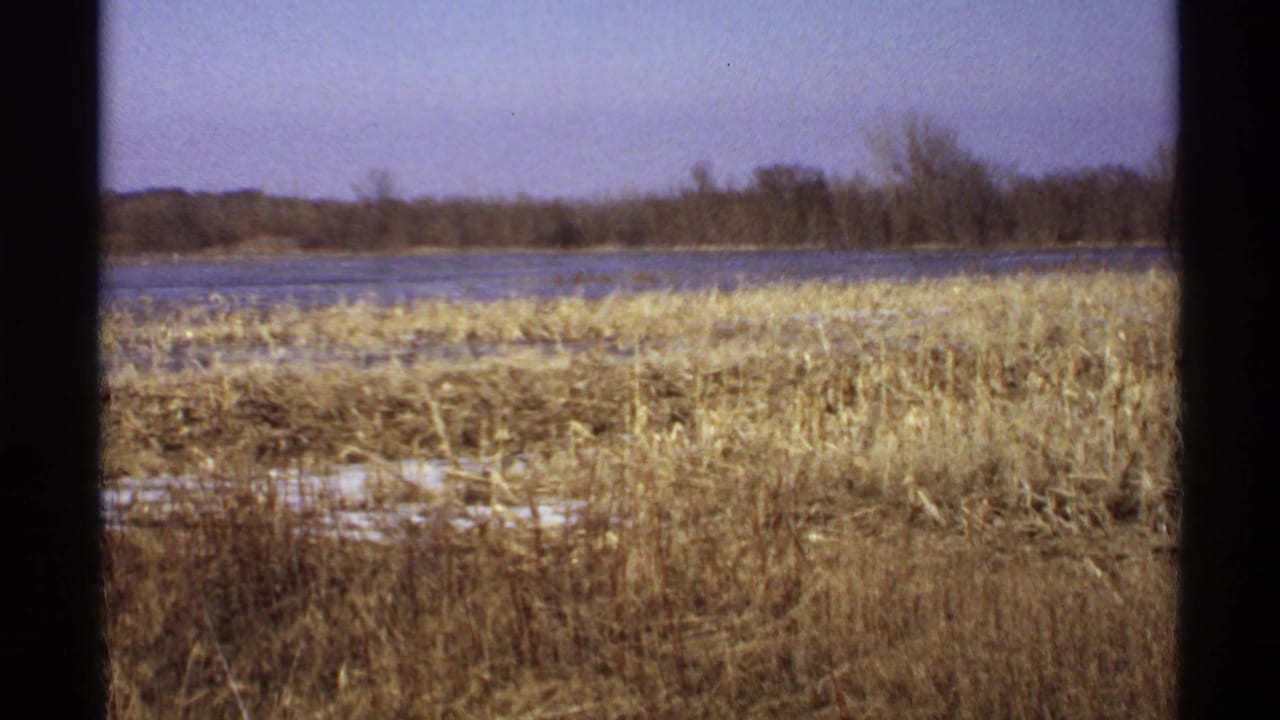 1971 Wisconsin home-movie frame with golden dry grass, still lake water, leafless trees, and pale sky.