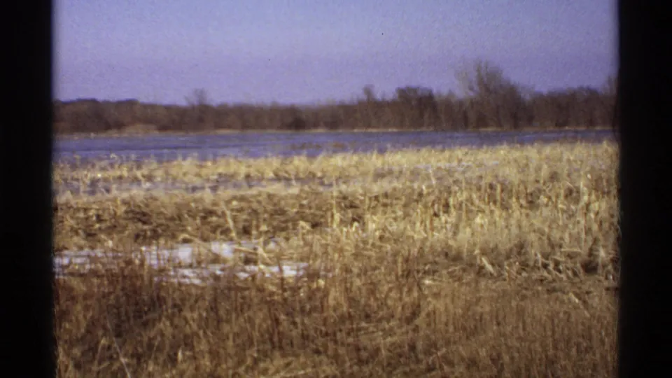 1971 Wisconsin home-movie frame with golden dry grass, still lake water, leafless trees, and pale sky.