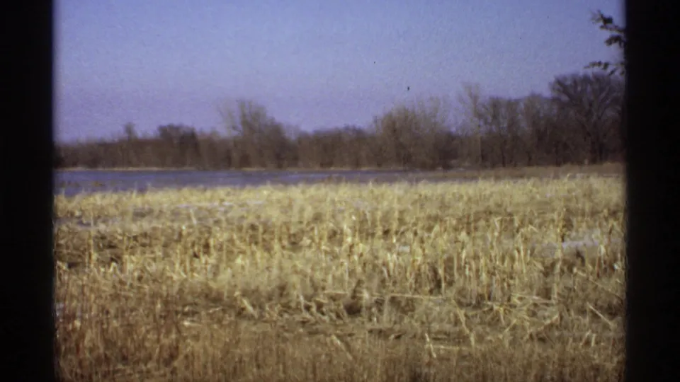 1971 Wisconsin 8mm view of an open grassy wetland, calm water, bare trees, and soft faded color.