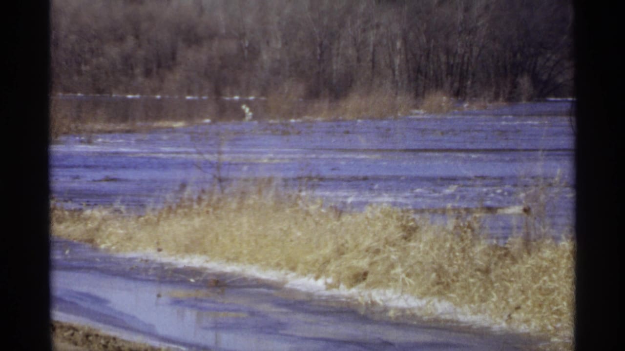 Wet reflective roadside beside flooded reeds and a broad stream near leafless trees.