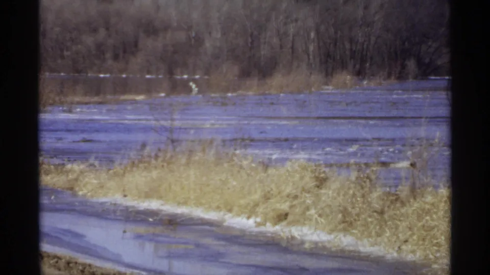 1971 Wisconsin wetland view with a reflective road edge, flooded reeds, broad water, and bare trees beyond.