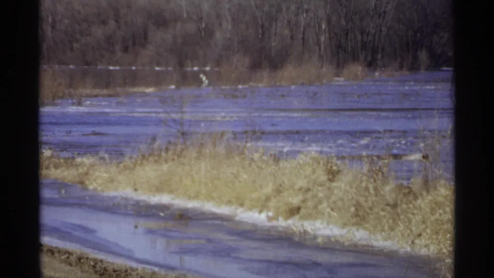 1971 Wisconsin 8mm frame of roadside floodwater, winter-brown reeds, and a wooded wetland bank.