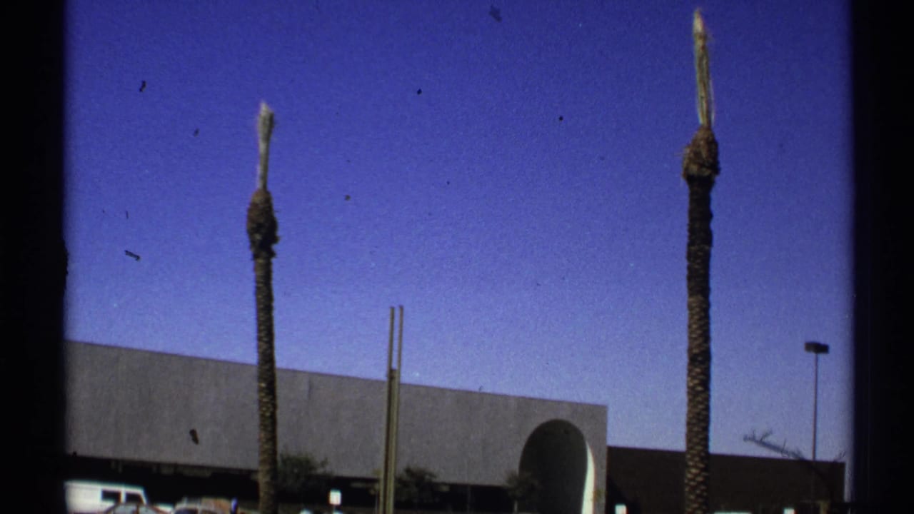 Palm trees in front of a low shopping-center building under a clear blue sky.