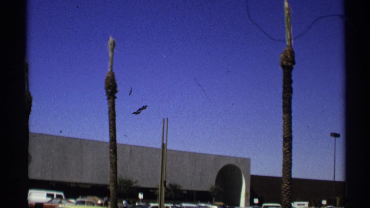 1972 Arizona 8mm view of palm trees, parked cars, and a modern low building with a curved entrance detail.