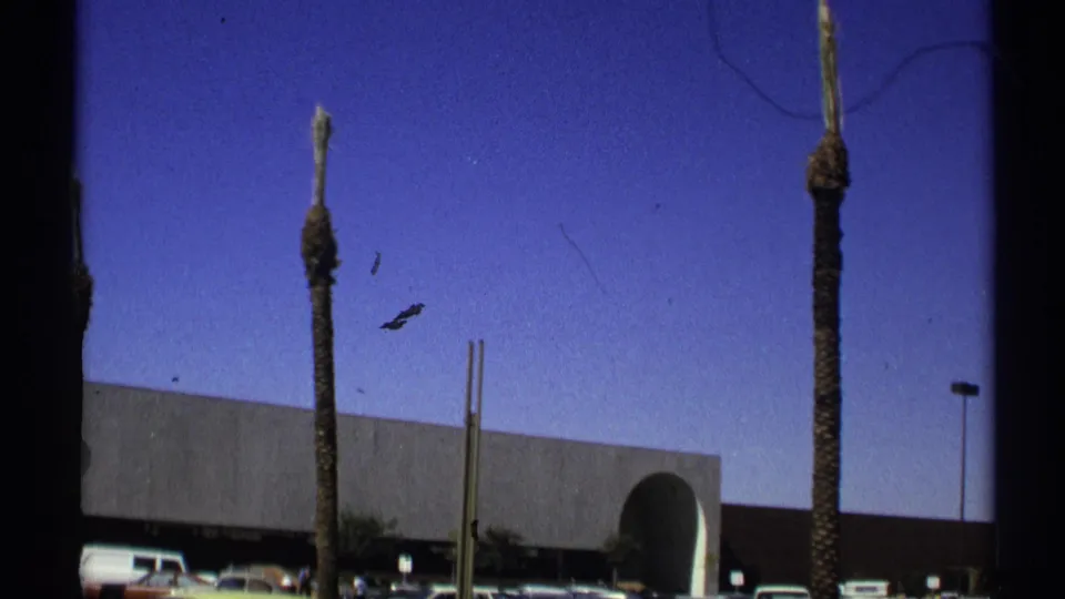 1972 Arizona 8mm view of palm trees, parked cars, and a modern low building with a curved entrance detail.