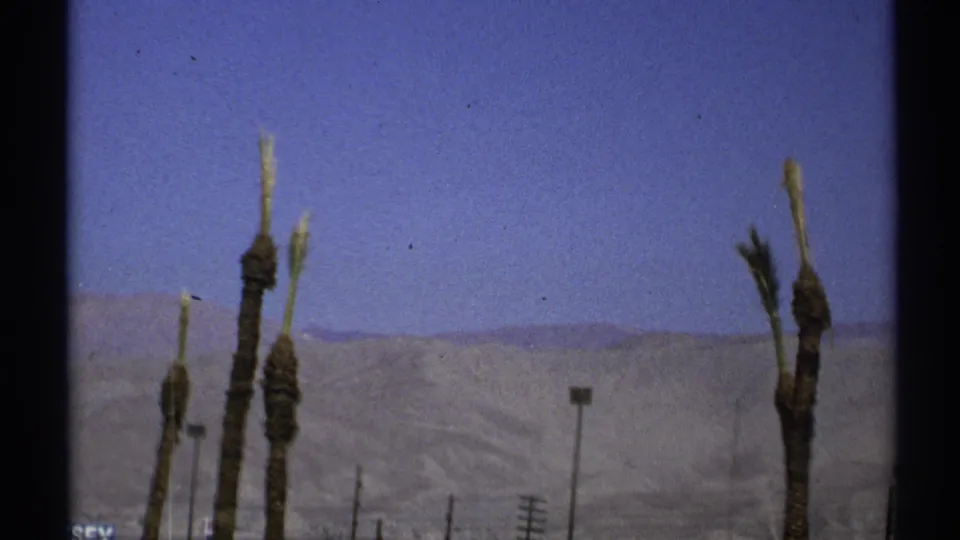 1972 Arizona home-movie frame with trimmed palms, distant desert mountains, utility poles, and open blue sky.