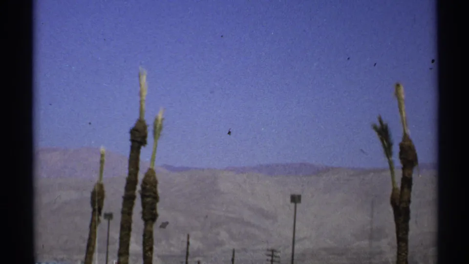 1972 Arizona 8mm frame showing palms, a desert mountain backdrop, utility poles, and bright midday sky.
