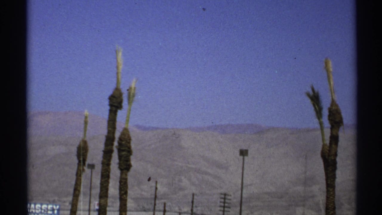 Palm trunks and roadside poles appear against desert mountains and blue sky.