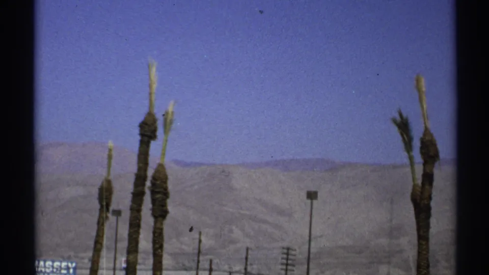 1972 Arizona home-movie frame with pruned palms, utility poles, and hazy desert hills in bright summer light.