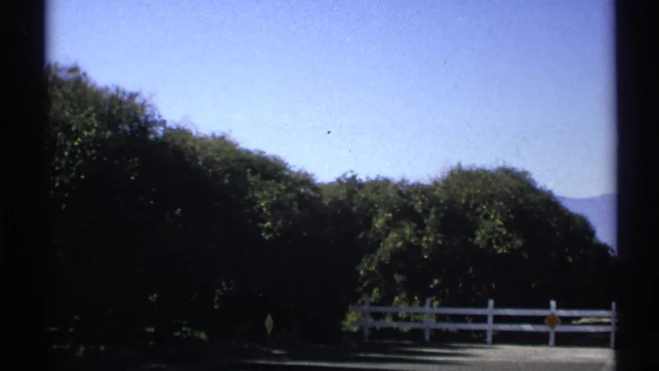 1972 Arizona 8mm frame showing leafy roadside bushes, a white rail fence, pavement, and distant blue hills.