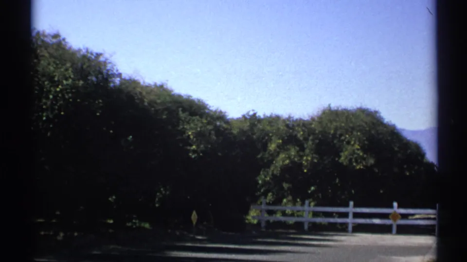 1972 Arizona home-movie frame with a white roadside fence, deep green shrubs, pavement, and faint desert hills.