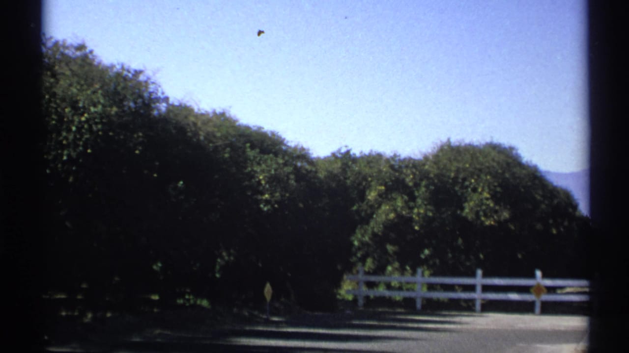White fence beside a road with dense green trees and hills beyond.