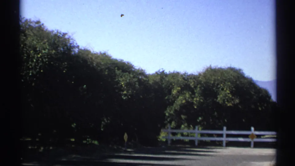 1972 Arizona 8mm frame showing a white roadside fence, shaded trees, blue sky, and distant hills.