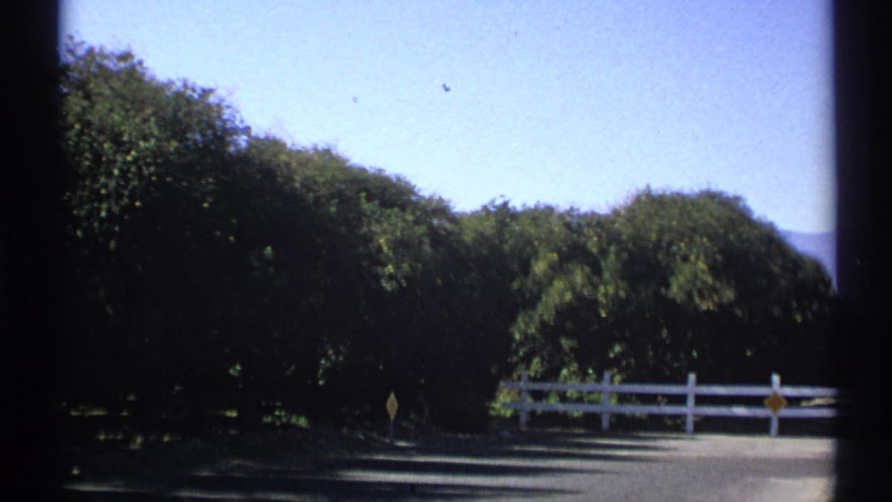 1972 Arizona home-movie view of a white fence along a sunlit road with heavy green tree cover.