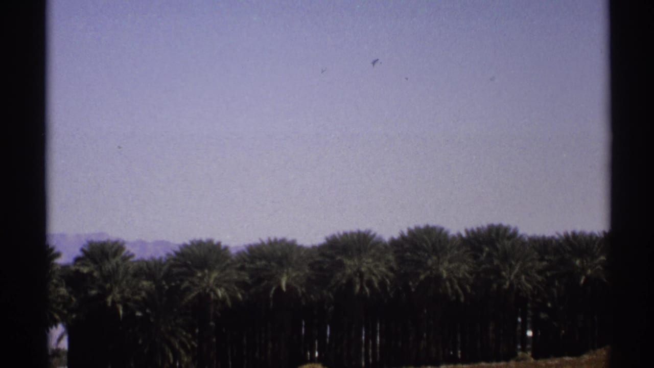 Palm grove and distant mountains under a blue sky with 8mm frame borders.