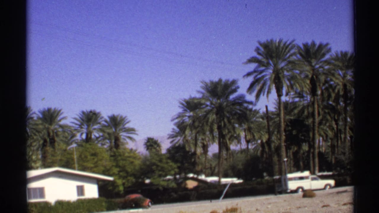 Palm trees behind a small white roadside building under a blue sky.