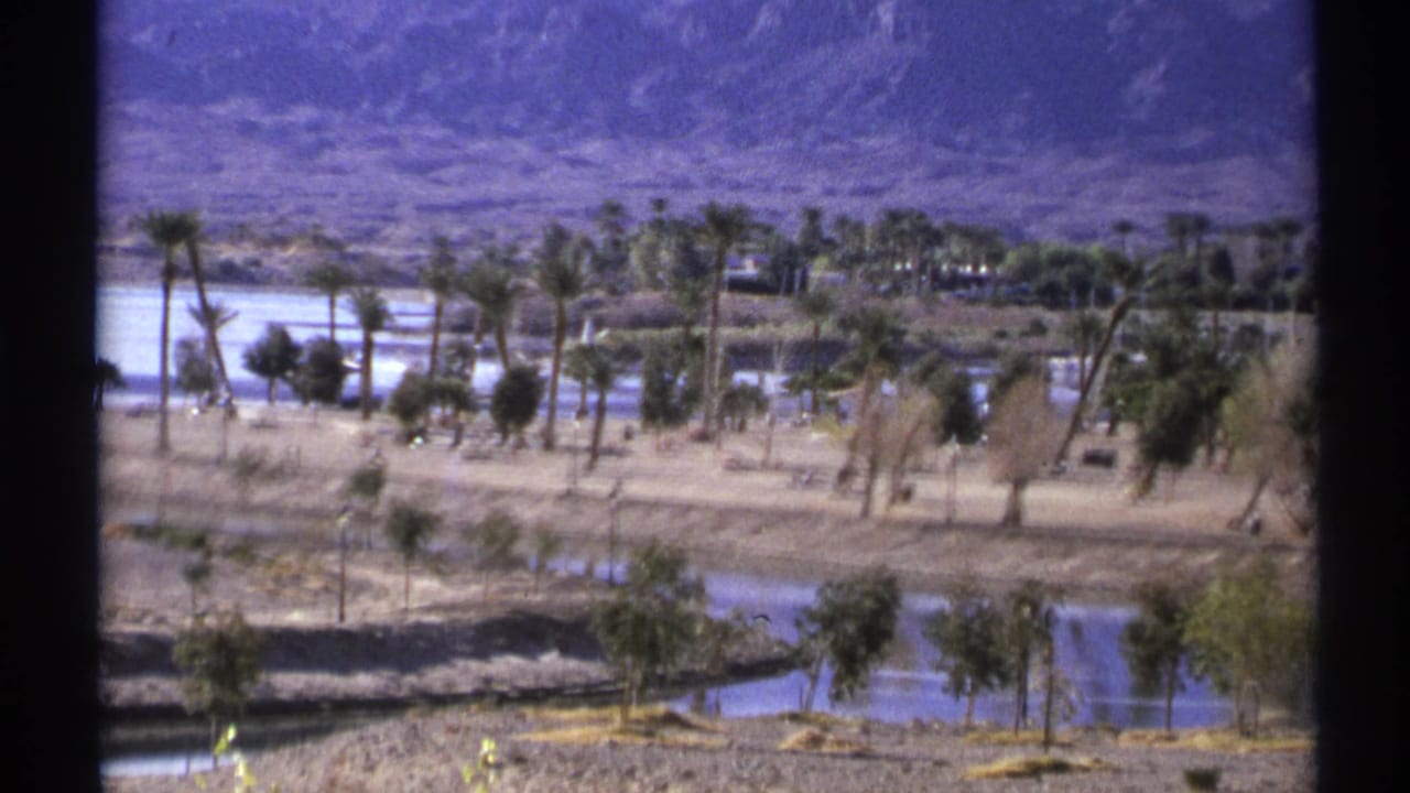 Palm trees, water, dry parkland, and distant mountains with a dark center frame edge.
