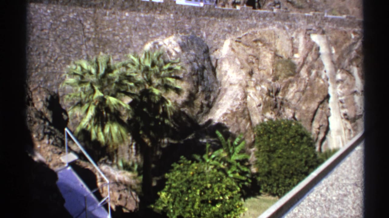 Palm trees and shrubs below a rocky dam wall with railings and a walkway.