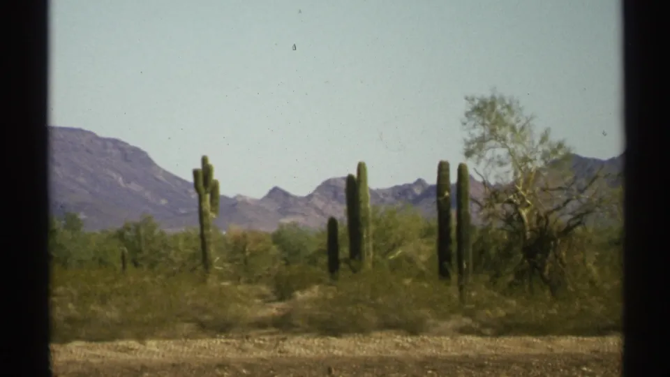 The clip ends on an Arizona desert landscape with saguaro cacti, scrub vegetation, distant mountains, and a clear sky.