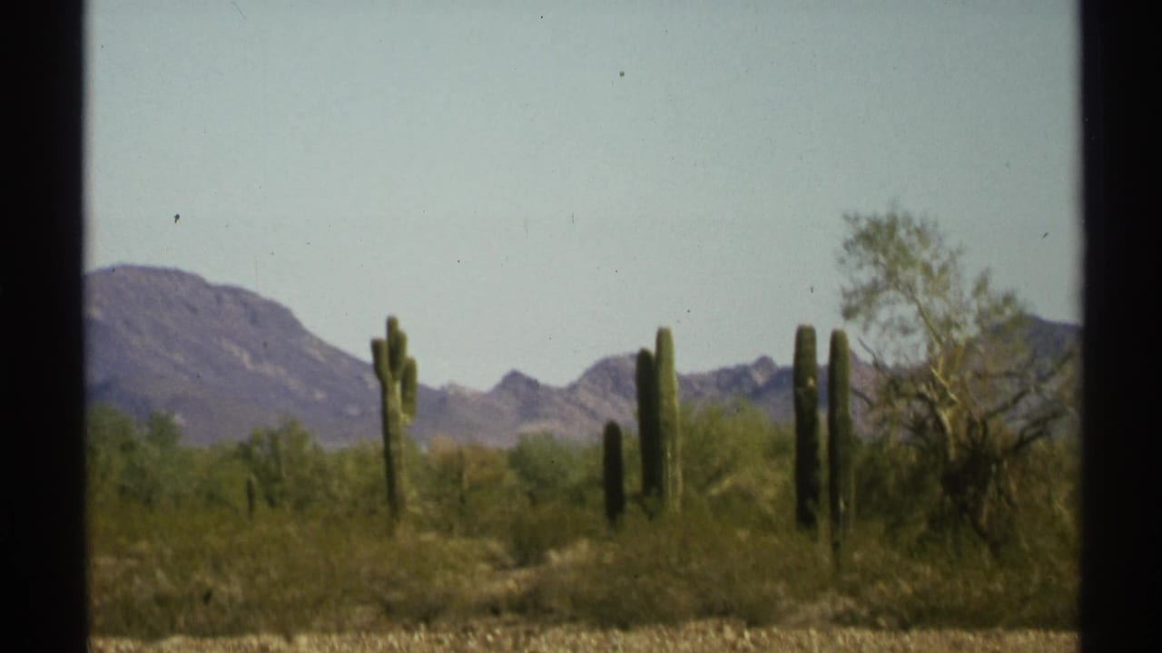 Roadside desert view with saguaros, shrubs, and distant mountains.