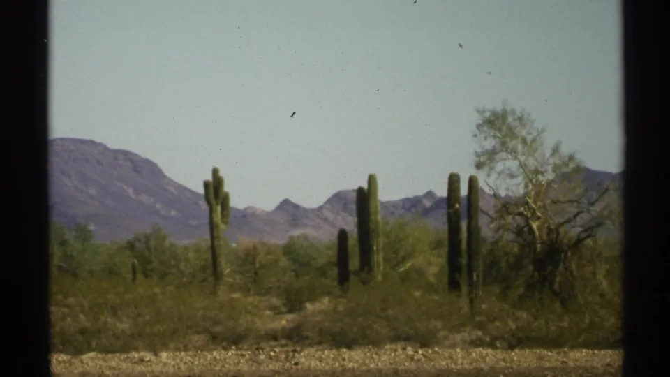 1972 Arizona 8mm still with saguaros rising from scrub terrain and low mountains across the horizon.