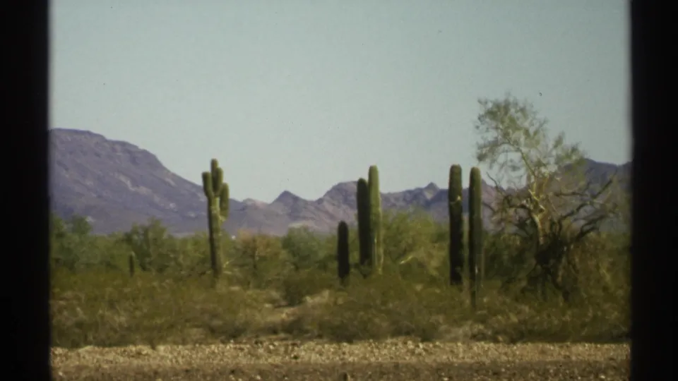 1972 Arizona desert frame showing saguaros, a bare-branched tree, scrub vegetation, and distant mountains.