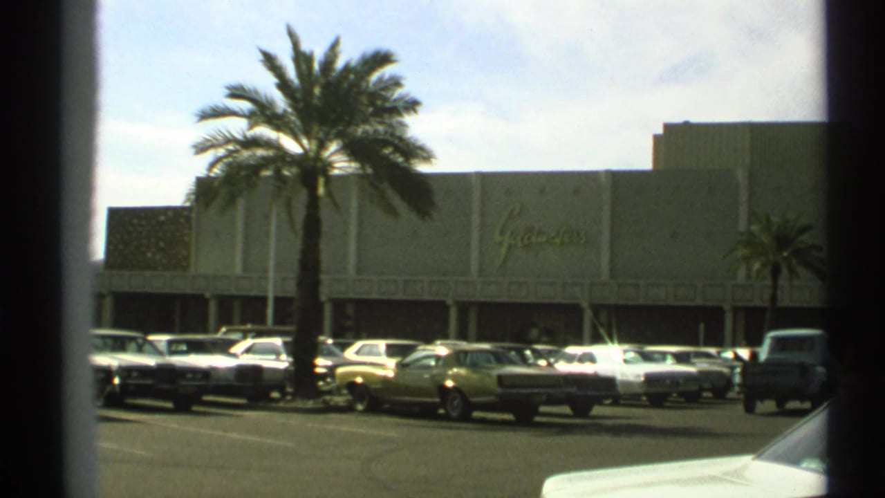 Palm tree and parked cars outside a large commercial building with signage.