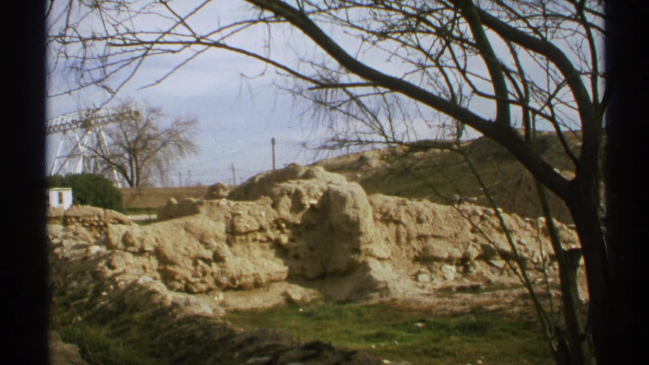 Crumbling earthen ruins viewed past dark tree trunks and bare branches.