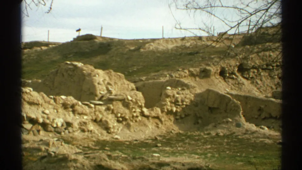 1972 Arizona home-movie frame with rough excavation-like soil forms, dry terrain, branches overhead, and a low horizon with posts.