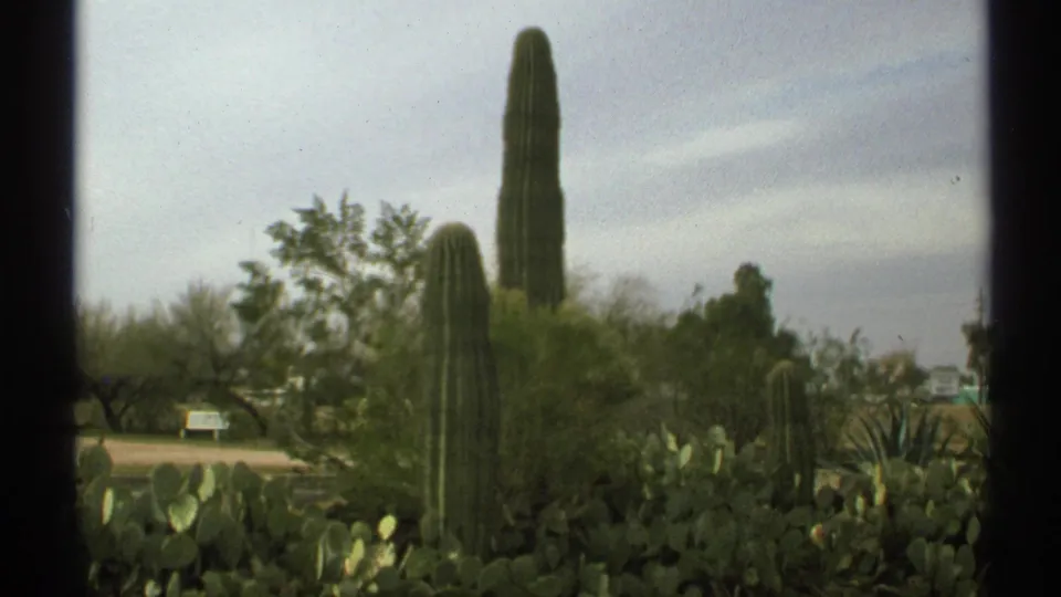 1972 Arizona 8mm frame with saguaros, prickly pear cactus, brush, and small distant signs in a sunlit desert setting.