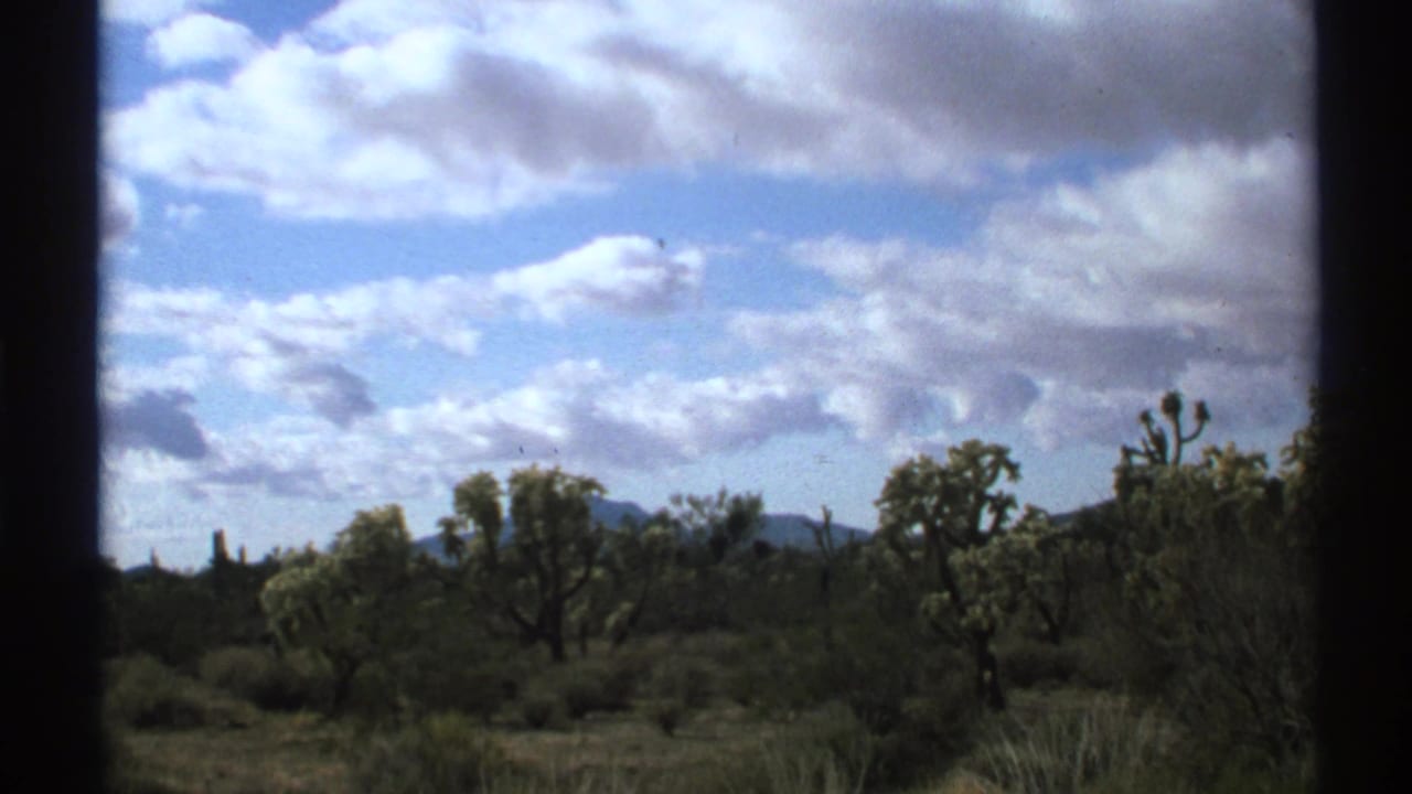 Desert landscape with Joshua trees, scrub, distant mountains, and clouds.