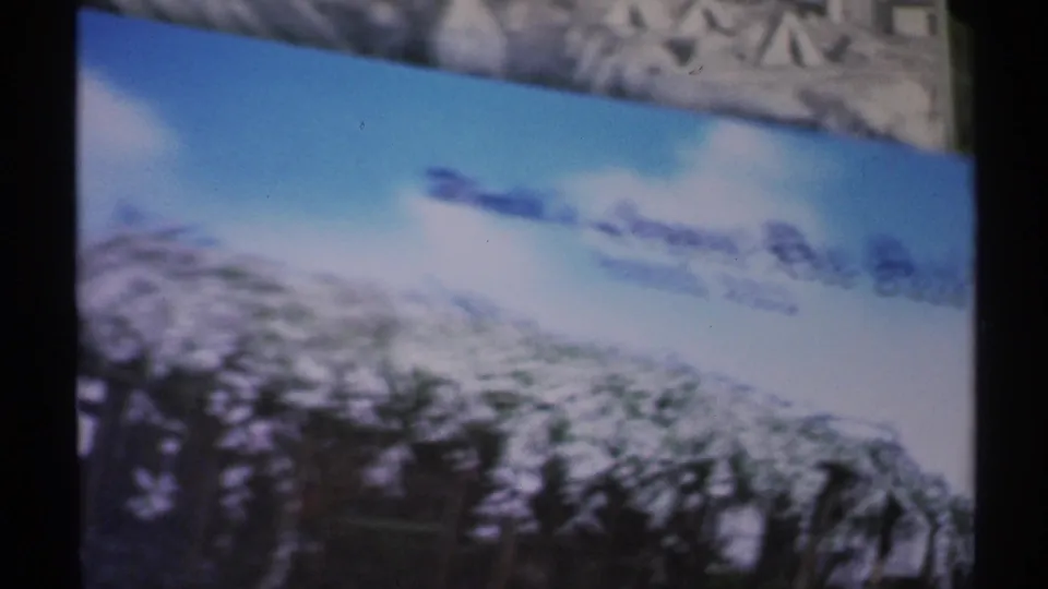 1972 Arizona 8mm frame showing a Tombstone attraction slide with blue sky, trees, and World's Largest Rose Bush signage.
