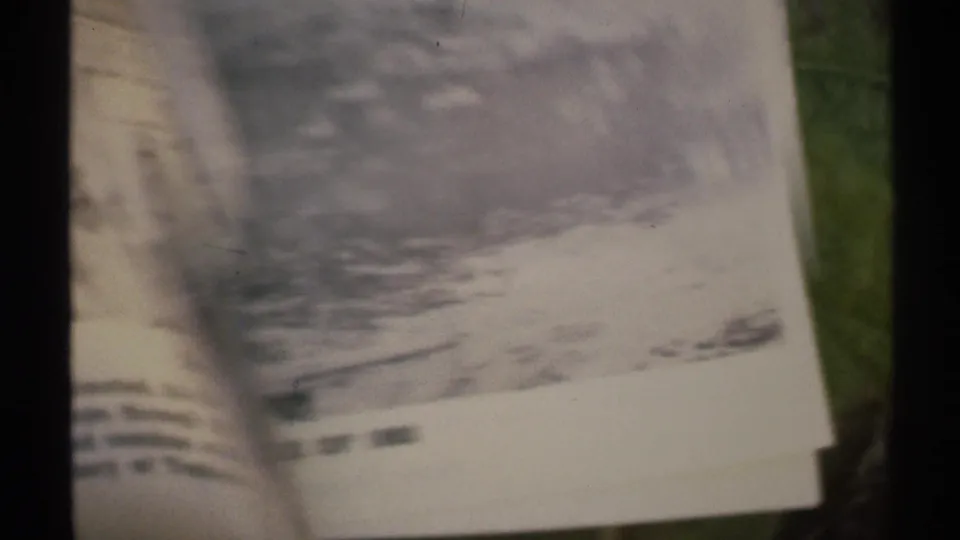 1972 Arizona 8mm frame with a blurred foreground object and partial view of a sunny vine-covered arbor beyond dark vertical edges.
