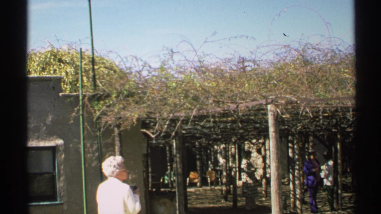 Woman in a white shirt stands near a vine-covered arbor with visitors in the shade.
