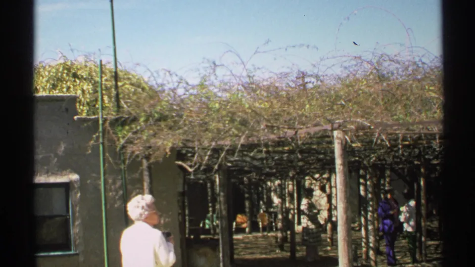 1972 Arizona home-movie frame showing a white-shirted woman facing a vine-covered arbor and shaded visitor walkway.