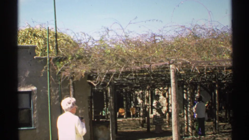 1972 Arizona 8mm view of a woman near an adobe-style building and visitors under a dense vine-covered pergola.