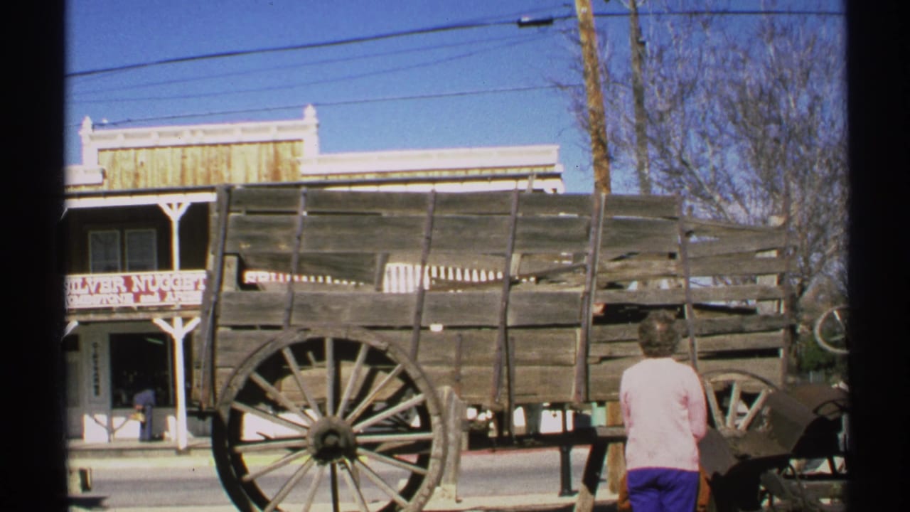 Older woman faces a large wooden wagon with storefront and utility lines behind.
