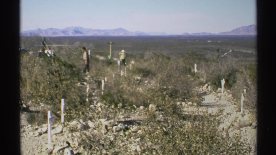 1972 Arizona 8mm view across Boothill Graveyard, with white markers, desert scrub, distant visitors, and mountains.
