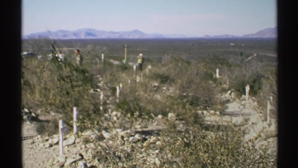 Wide 1972 Arizona home-movie view of the graveyard terrain, with scrub, white markers, visitors, and distant mountains.