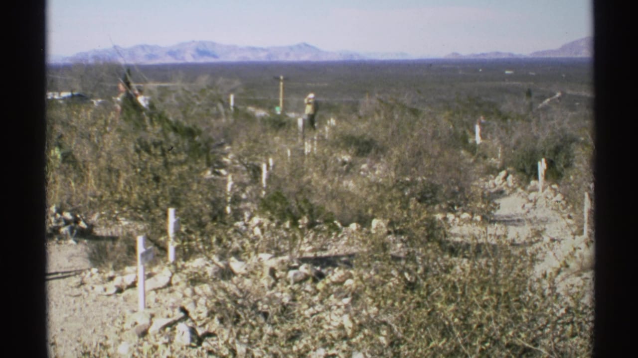 Wide desert cemetery with white markers, brush, mountains, and a distant walking person.