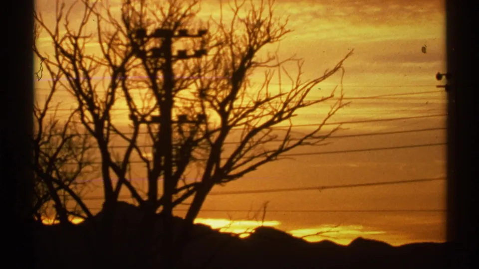 1972 Arizona 8mm frame showing silhouetted bare trees, a utility pole, overhead lines, and a bright sunset glow along the horizon.