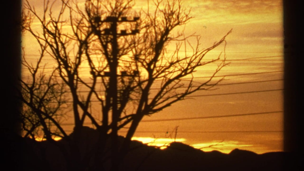 1972 Arizona 8mm frame showing a bare tree, utility pole, power lines, and dark mountain horizon at sunset.