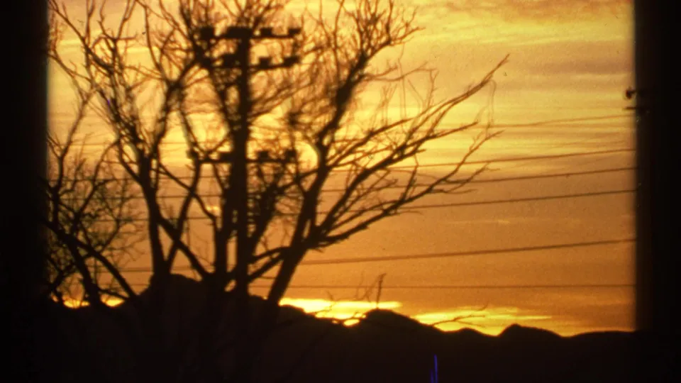 1972 Arizona 8mm frame with silhouetted branches and a utility pole crossing a gold-orange desert sunset.