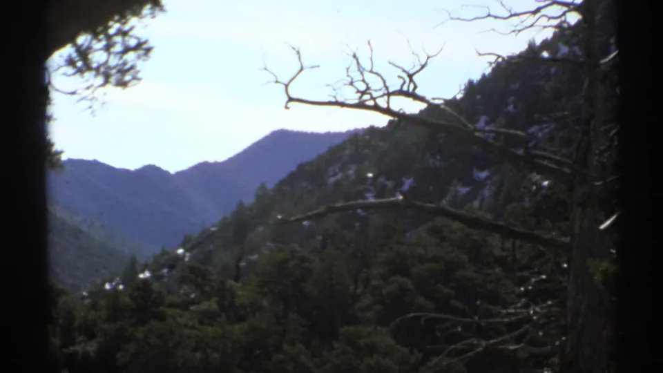 Arizona mountain view at Chiricahua National Monument, with forested slopes, distant ridges, and bare branches in the foreground.