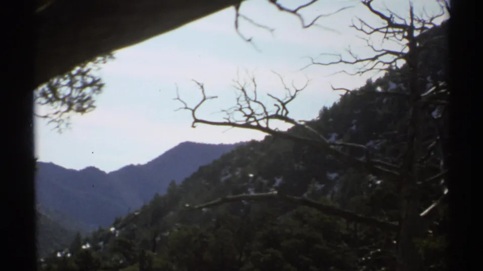1972 Arizona 8mm view of Chiricahua mountain slopes with a distant peak, foreground limbs, and visible home-movie frame edges.