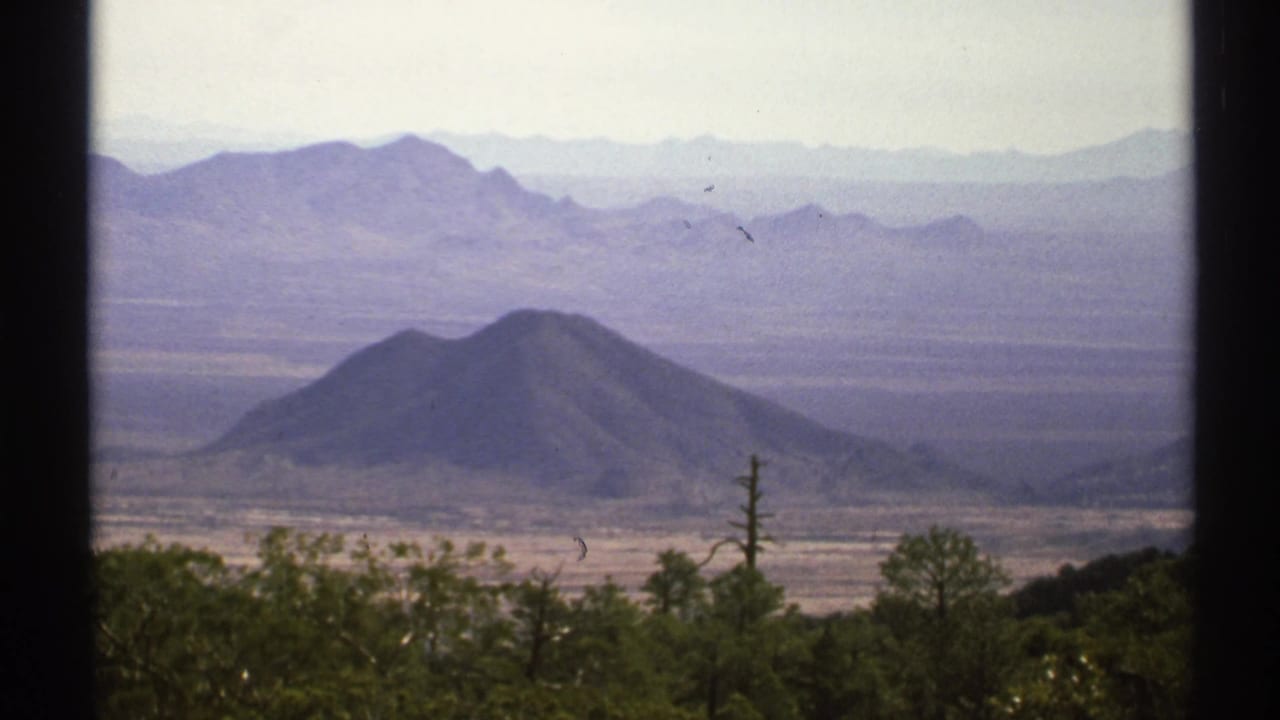 Wide Arizona desert vista with conical hill, distant mountains and foreground trees.