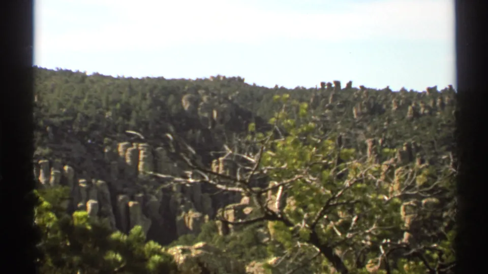 Arizona 1972 home-movie frame of a canyon overlook, with pine-covered hills, tan rock columns, and a large foreground tree.