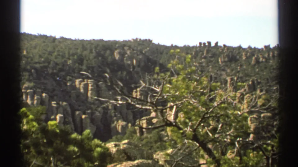 1972 Arizona 8mm still with a large foreground tree, bright sky, forested ridge, and rugged canyon formations in the distance.