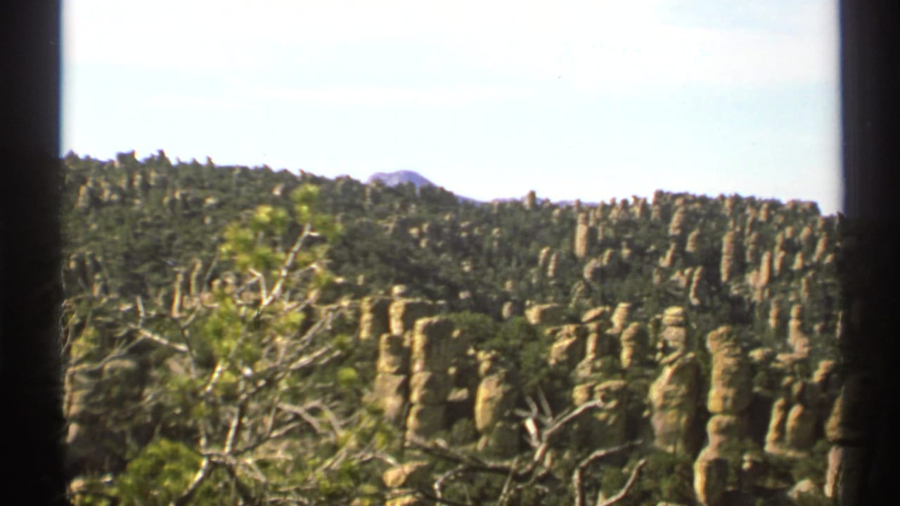 1972 8mm Arizona landscape view with tan rock columns, green forested slopes, foreground branches, and dark film-frame edges.
