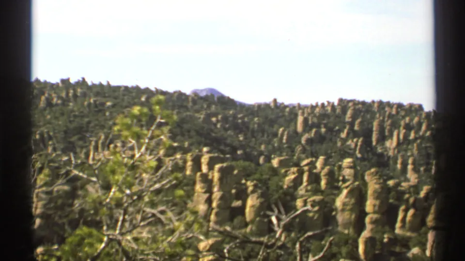 1972 8mm Arizona landscape view with tan rock columns, green forested slopes, foreground branches, and dark film-frame edges.